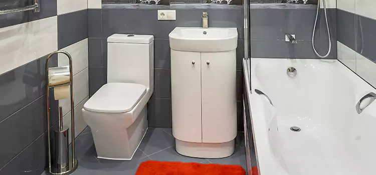 Hansgrohe Shaving Mirror Citrus Heights